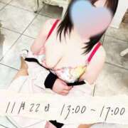 ヒメ日記 2025/11/20 17:48 投稿 ことね 熟女の風俗最終章 高崎店