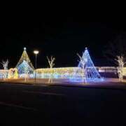 ヒメ日記 2025/12/26 22:38 投稿 ことね 熟女の風俗最終章 高崎店