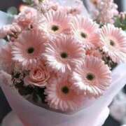 ヒメ日記 2026/01/31 13:54 投稿 ことね 熟女の風俗最終章 高崎店