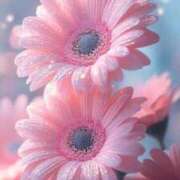 ヒメ日記 2026/02/11 13:28 投稿 ことね 熟女の風俗最終章 高崎店