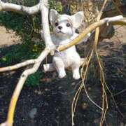 ヒメ日記 2026/03/31 14:18 投稿 ことね 熟女の風俗最終章 高崎店