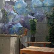 ヒメ日記 2026/06/14 10:32 投稿 ことね 熟女の風俗最終章 高崎店