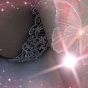 ヒメ日記 2025/11/09 11:30 投稿 いちか 奥鉄オクテツ東京店（デリヘル市場）