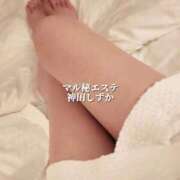 ヒメ日記 2025/12/14 00:41 投稿 神田しずか 池袋㊙エステ～フル勃起～