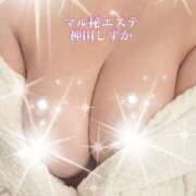 ヒメ日記 2025/12/28 14:02 投稿 神田しずか 池袋㊙エステ～フル勃起～