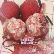 ヒメ日記 2025/12/29 19:51 投稿 神田しずか 池袋㊙エステ～フル勃起～