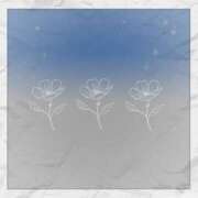 ヒメ日記 2025/12/19 11:31 投稿 みゆき THE・TRY