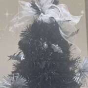 ヒメ日記 2025/12/25 15:33 投稿 みゆき THE・TRY