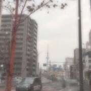 ヒメ日記 2026/02/19 00:04 投稿 みゆき THE・TRY