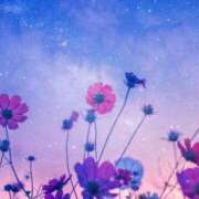 ヒメ日記 2025/10/30 03:02 投稿 ひまわり ぐっすり山田 五反田店