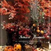 ヒメ日記 2025/10/31 19:55 投稿 ひまわり ぐっすり山田 五反田店