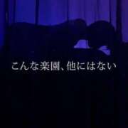 ヒメ日記 2025/11/12 02:11 投稿 ひまわり ぐっすり山田 五反田店