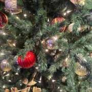 ヒメ日記 2025/11/16 01:25 投稿 ひまわり ぐっすり山田 五反田店