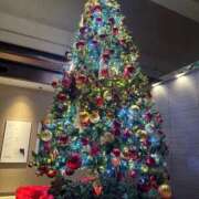 ヒメ日記 2025/12/08 23:23 投稿 ひまわり ぐっすり山田 五反田店