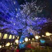 ことり 🌸 ぐっすり山田 五反田店