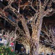 ヒメ日記 2025/11/25 11:09 投稿 えみり ぐっすり山田 五反田店