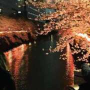 ヒメ日記 2026/03/30 18:29 投稿 えみり ぐっすり山田 五反田店