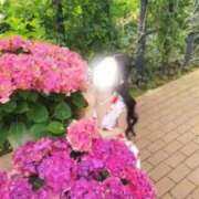 ヒメ日記 2026/08/21 17:21 投稿 えみり ぐっすり山田 五反田店