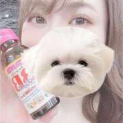 ヒメ日記 2025/11/29 11:59 投稿 はる ぐっすり山田 五反田店