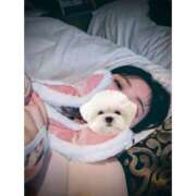 ヒメ日記 2025/11/30 23:59 投稿 はる ぐっすり山田 五反田店