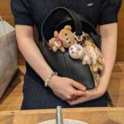 ヒメ日記 2025/11/03 19:27 投稿 あいす ごほうびSPA 新宿店