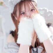 ヒメ日記 2026/03/14 02:37 投稿 あいす ごほうびSPA 新宿店