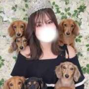 ヒメ日記 2025/12/01 13:47 投稿 れい ごほうびSPA 新宿店