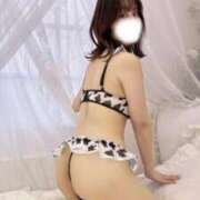 ヒメ日記 2025/12/11 12:18 投稿 れい ごほうびSPA 新宿店