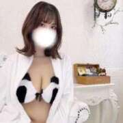 ヒメ日記 2025/12/18 19:17 投稿 れい ごほうびSPA 新宿店