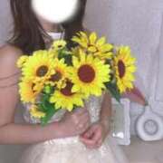 ヒメ日記 2025/12/29 17:37 投稿 れい ごほうびSPA 新宿店