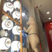 ヒメ日記 2026/03/18 08:07 投稿 あすか ごほうびSPA 新宿店