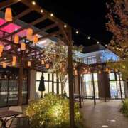 ヒメ日記 2025/11/12 11:01 投稿 ちひろ 藤沢人妻城