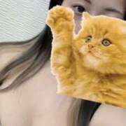 ヒメ日記 2026/04/12 10:51 投稿 ちひろ 藤沢人妻城