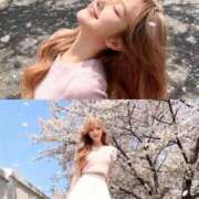 ヒメ日記 2026/03/14 22:17 投稿 りな ごほうびSPA 新宿店