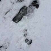 ヒメ日記 2026/02/09 10:57 投稿 あん（五反田） ごほうびSPA 新宿店