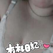 ヒメ日記 2025/11/03 19:48 投稿 ねね 新潟市鳥屋野潟ちゃんこ