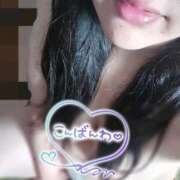 ヒメ日記 2025/11/07 22:36 投稿 ねね 新潟市鳥屋野潟ちゃんこ