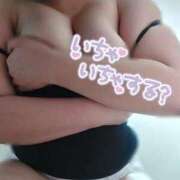 ヒメ日記 2025/11/11 10:30 投稿 ねね 新潟市鳥屋野潟ちゃんこ