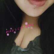 ヒメ日記 2025/11/19 10:08 投稿 ねね 新潟市鳥屋野潟ちゃんこ