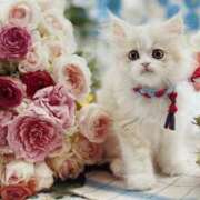 ヒメ日記 2025/10/29 23:56 投稿 ゆきこ 熟女総本店 日本橋ミナミエリア店