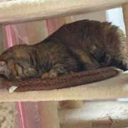 ヒメ日記 2025/10/30 16:06 投稿 ゆきこ 熟女総本店 日本橋ミナミエリア店