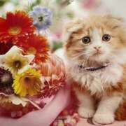 ヒメ日記 2025/10/30 23:46 投稿 ゆきこ 熟女総本店 日本橋ミナミエリア店