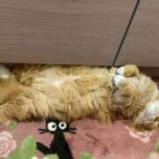 ヒメ日記 2025/11/02 12:06 投稿 ゆきこ 熟女総本店 日本橋ミナミエリア店