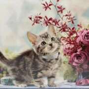 ヒメ日記 2025/11/10 18:46 投稿 ゆきこ 熟女総本店 日本橋ミナミエリア店