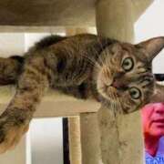 ヒメ日記 2025/11/11 11:56 投稿 ゆきこ 熟女総本店 日本橋ミナミエリア店