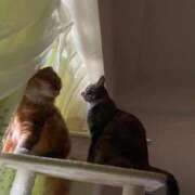 ヒメ日記 2025/11/12 07:02 投稿 ゆきこ 熟女総本店 日本橋ミナミエリア店