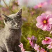 ヒメ日記 2025/11/15 18:16 投稿 ゆきこ 熟女総本店 日本橋ミナミエリア店