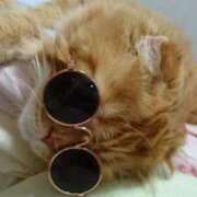 ヒメ日記 2025/11/16 00:06 投稿 ゆきこ 熟女総本店 日本橋ミナミエリア店