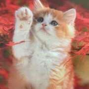 ヒメ日記 2025/11/16 13:36 投稿 ゆきこ 熟女総本店 日本橋ミナミエリア店