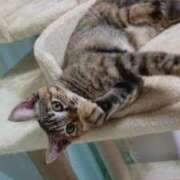 ヒメ日記 2025/11/22 18:06 投稿 ゆきこ 熟女総本店 日本橋ミナミエリア店